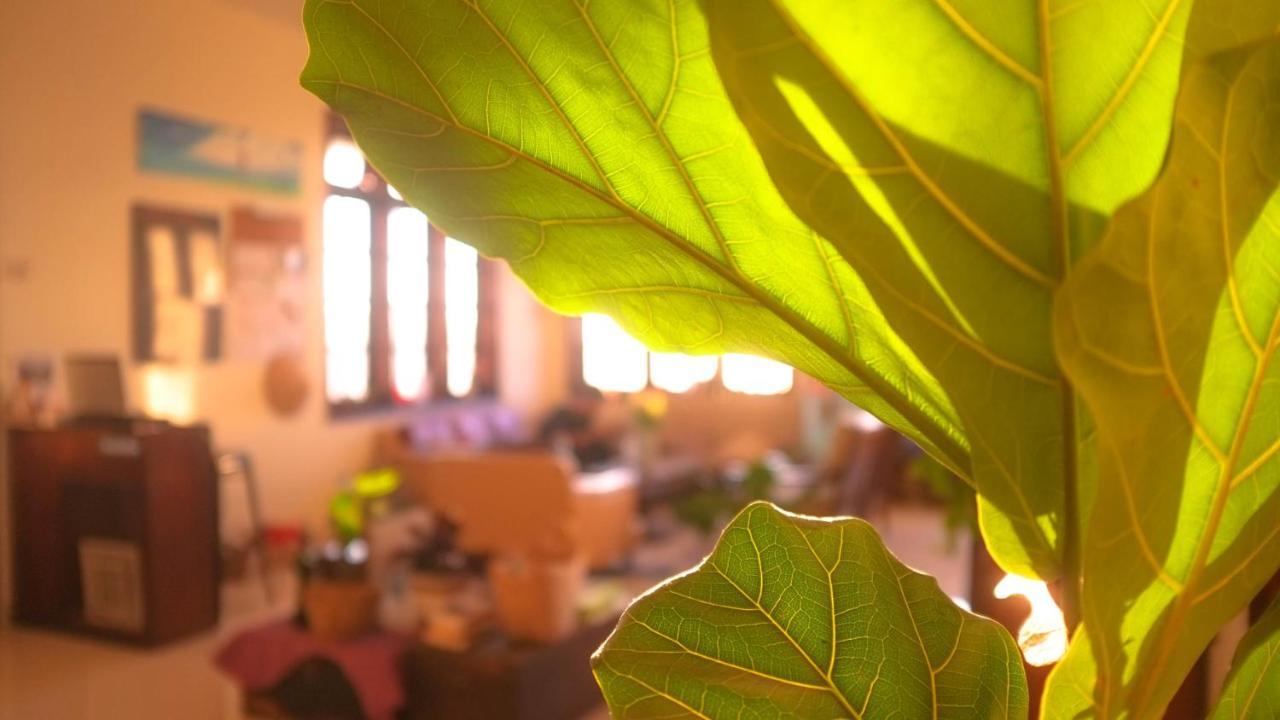 Hotel Misty Hill Dalat Extérieur photo
